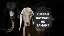 Kurban Bayramında 9 gün tatil olur mu? 2023 Kurban Bayramı tarihi