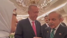 Cumhurbaşkanı Erdoğan ile Pakistan Başbakanı arasındaki 'mango' diyaloğu yüzleri güldürdü