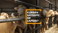 Kurban Bayramı ne zaman, kaç gün kaldı?