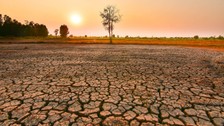 Dünya'nın 'El Nino' kabusu başladı! 2024'ün Dünya’nın en sıcak yılı olması bekleniyor