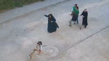 Şanlıurfa köpek saldırısı! O anlar kamerada