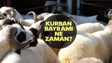 Kurban Bayramı ne zaman, kaç gün kaldı?