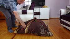 Mantar toplamaya gitti "Milyoner" oldu! Tesadüfen buldu