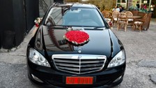 Vali indi, gelin ve damat bindi