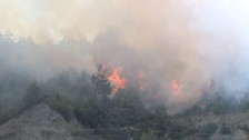 Son Dakika: Hatay'da ve İzmir'de orman yangını!