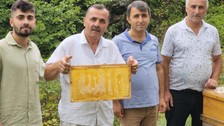 Bal peteğinin üzerine 'Allah' yazısı! Gören şaştı kaldı