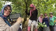 Fındık toplama videosu sosyal medyada viral oldu! Horon teptiler