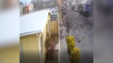 Kuş sürüsü bir anda yere düştü: Onlarcası telef oldu