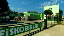 FİSKOBİRLİK fındık alımlarına başladı! O üreticilere ek ödeme yapılacak