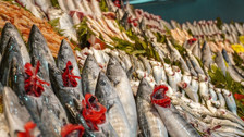 Balık avı başladı, istavritin fiyatı yarıya düştü