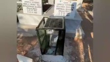 Mezarlıkta ticaret: Müşterilerden ilgi gördü!