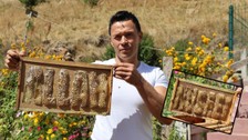 Erzurum'da yetiştirdiği arılarına yazmayı öğretti: Sınıfı geçtiler!