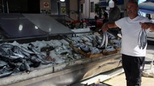 Palamut başladı! Karadeniz'de tezgahlar doluyor