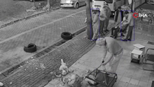 Esenyurt'ta beşinci kata malzeme taşınıyordu! Demir sepetin ipi koptu... Son anda ölümden döndü