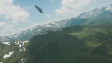 Doğan kuşunun drone avı! Daha önce böylesi görülmedi