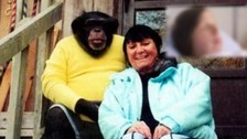 14 yıl baktığı maymun komşusunun yüzünü yedi! O anlarda kadının polisle telefon konuşması tüyler ürpertti