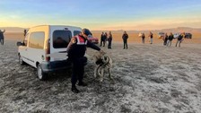 Köpek dövüştürüp, bahis oynuyorlardı... Suçüstü yakalandılar!