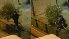 Sultangazi'de bir şahıs parkta kendi halindeki ağacı söktü!