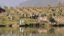 Hatay'da kayıp yaşlı adam dere yatağında ölü bulundu