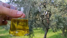 Aydın'da 11 ton sahte zeytinyağı ele geçirildi
