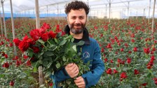 Tane fiyatı birçok meyveyi sollayan gül, Adana'da üreticisinin yüzünü güldürdü