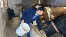 Üniversite mezunu genç devlet desteği alıp besici oldu