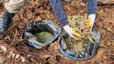 Diyarbakır'ın Lice ilçesinde 43 kilogram esrar ele geçirildi