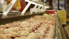 Son Dakika: Tavuk eti ihracatına sınırlama