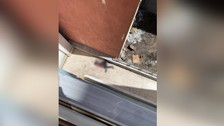 Bitlis'te 19 yaşındaki bir genç kendisini 5’inci kattan attı