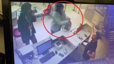 Kedi kumu paketi delik çıktı, kargo şirketi çalışanlarına saldırdı