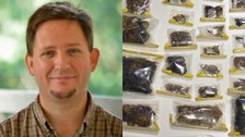 ABD'li müze müdürü tarantula ve akrep kaçakçılığı yaparken İstanbul Havalimanı'nda yakalandı