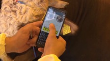 Kurbanlık bilgileri, 'Tarım Cebimde' uygulaması ile sorgulanabilecek