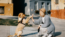 Rüyada Köpekle Konuşmak Ne Anlama Gelir? Neye Delalet Eder?