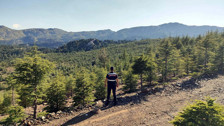 Muğla'da ormanlara giriş yasaklandı