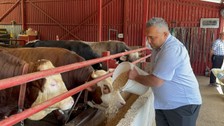 Bakanlıktan aldığı destekle hayvan sayısını 4'e katladı