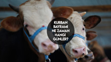 Bayram hangi gün başlıyor 📌? 2024 Kurban Bayramı arifesi ve 1. gün ne zaman 🗓️?
