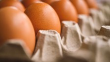 Rüyada Yumurta Görmek Ne Anlama Gelir? Neye Delalet Eder?