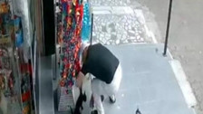 İstanbul'da kedi hırsızlığı olayı: Önce sevdi, sonra çaldı