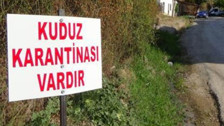 Niğde'de bir mahalleye 'kuduz' karantinası