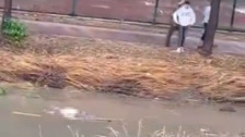 Yağmur sularının yükselttiği derede erkek cesedi bulundu