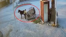 At arabalı hırsızlar şehrin mazgallarını çaldılar