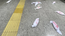 Marmaray Sirkeci durağında bebek kefenleriyle Gazze protestosu