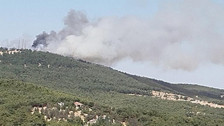 Gaziantep'te orman yangını!