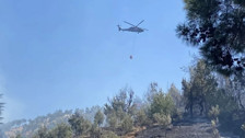 Kahramanmaraş, Denizli, İzmir ve Sakarya'da orman yangını