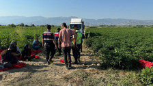 Manisa'da tarlada acı olay: Uyurken üzerinden kamyon geçen çocuk hayatını kaybetti