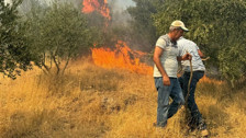 Balıkesir, Aydın ve Muğla'da yangın: Alevler yerleşim yerine yaklaştı
