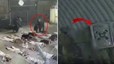 Sapık 9 askeri serbest bırakmışlardı! İsraillilerin Filistinli tutukluya tecavüz ettikleri görüntüler çıktı
