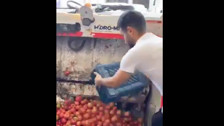 Burdur'da domatesleri çöpe döken işletmeye 123 bin lira ceza