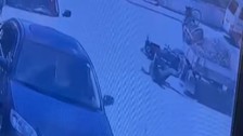 Böyle kaza görülmedi: Kaçan at, motosikletliyi altına aldı