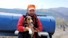Yangında her şeyini kaybeden vatandaş köpeğine sarılıp ağladı: 2 tavuk 1 horoz bir de köpek kalmış abi gerisi yok